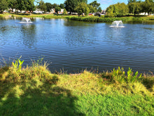 Load image into Gallery viewer, Site Drainer Stainless Steel SD 400 1/2Hp Non clogging Electric submersible dewatering pump and trash pump Being used as a Fountain